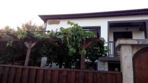 Guesthouse Orlovo