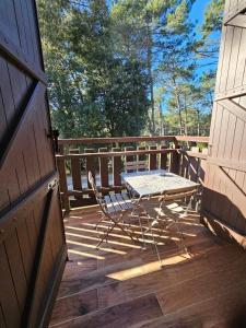 Apartment between Pines & Lake