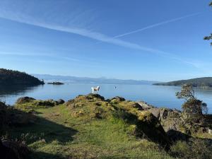 Cozy Ocean Gateway at Spirit Bay Pet-Friendly