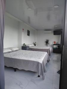 Villa Terraza