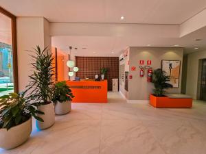 Lille 65 · Studio funcional no bairro Cambuí