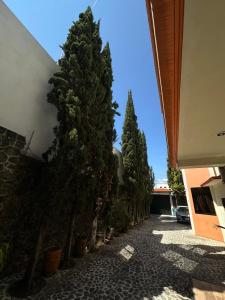 Hotel Galería Mediterráneo