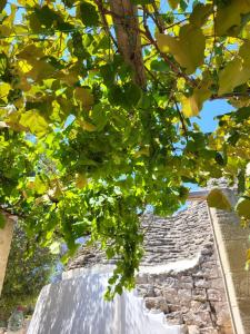 Trullo incantevole