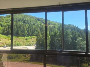 Appartement LaBelleVue