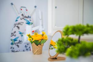 Romanowicza Comfort Stay