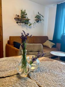 Industrial apartament