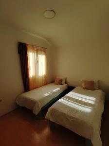MNA Apartment