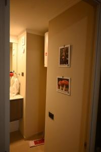 Comfortable new apartment in Valdivia