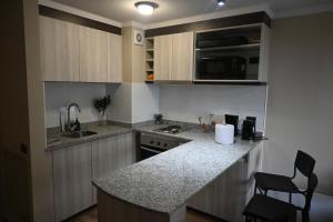 Comfortable new apartment in Valdivia