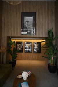 Comfortable new apartment in Valdivia