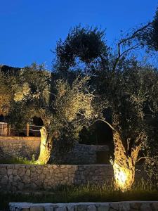 Edens Garden Villa