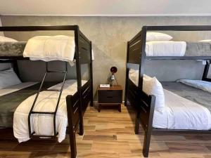 Unique 9BR Polanco Retreat Near Masaryk