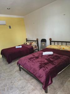 Hotel Xunan kab