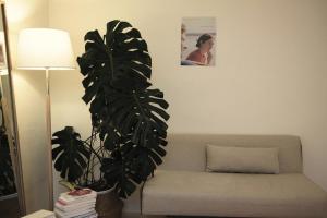 4 minutes on foot from Sinchon Station, Hongdae, Hapjeong, Myeongdong Near Daiso and department stores 2 rooms and 1 bathroom, luggage storage