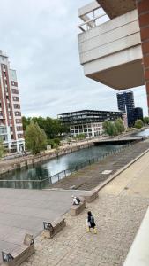 Vue sur le Rhin en plein coeur de la ville