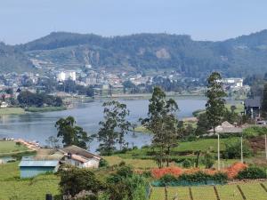 AGP home