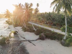 Kali Villas Mentawai