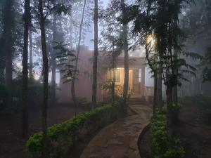 The Cabin