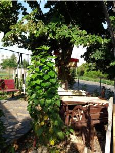 Mavros Apartament