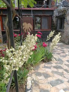 Mavros Garsoniera