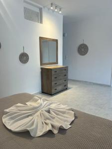 Costelia Studio