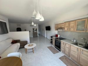 Costelia Studio