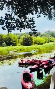 Domek Nad Litą kajaki las jezioro