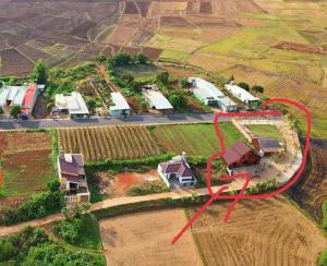 Tờ Hờ Chill Homestay & Cafe