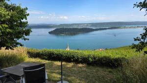 Ferien auf dem Weingut