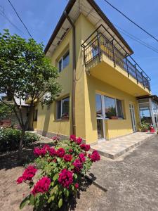 Vila Madi