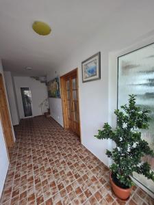 Vila Madi