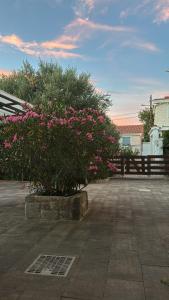 Apartments Gasparovic