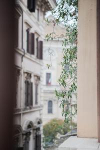 amata suite dei cartari