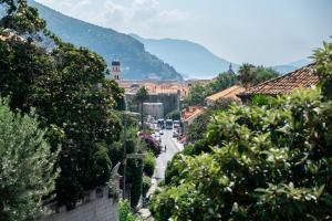 The Old Town Hostel-Villa Gradac