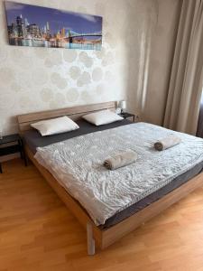 KEY Accommodation Pellicova