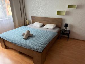 KEY Accommodation Pellicova