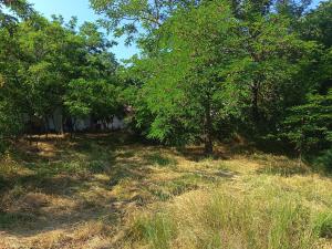 Travel Hub Hostel and Tents