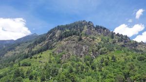 Aavi Grand Manali