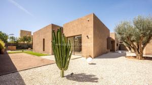 Villa Cactus