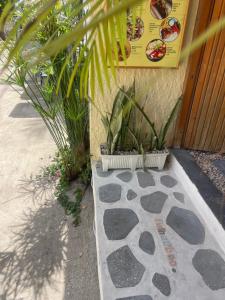Palms hotel and Spa