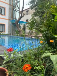 Tam Coc Vinh Thinh Homestay