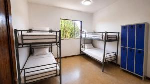 Guayaba Hostel