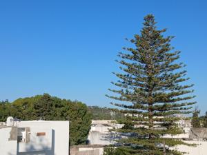 Lexpérience Roof Top de La Marsa