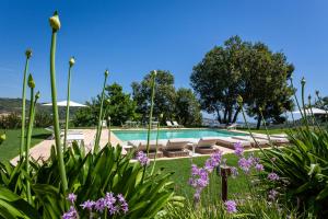 A Casa Da Angelo - Country House PrivatePool & AirCO