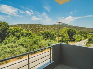 Novus apartments