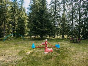 Complex Turistic Le Baron Dorna Arini