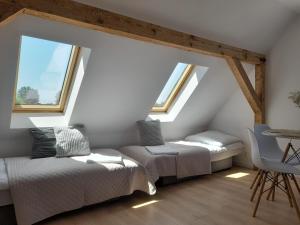 Zielna Apartament
