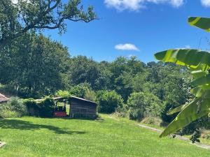 Lodge en pleine nature