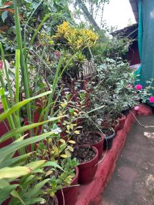 Cassa ff guesthouse
