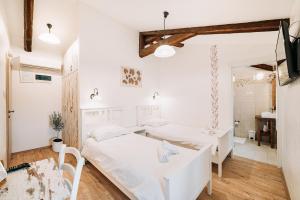 Ressel Rooms B&B Motovun near Parenzana